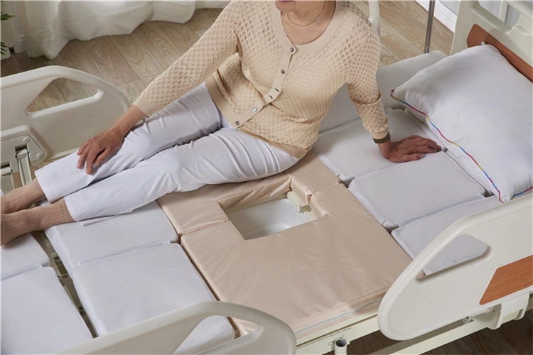 Back Lifting Leg Lifting Roatating Manual Electric Home Care Bed for The Elderly Use